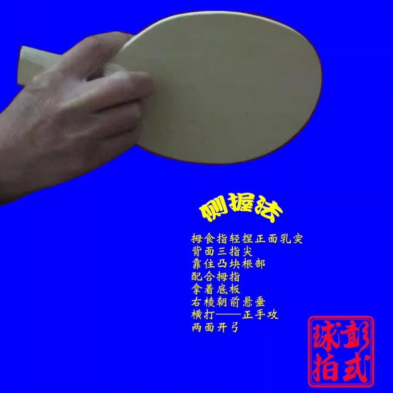 Chinese/Japanese Style Table T - Table Tennis In Japanese 评论和价格